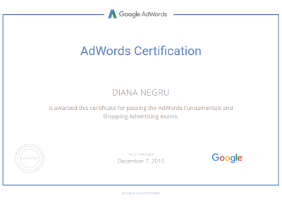 Shopping Certification Diana Negru